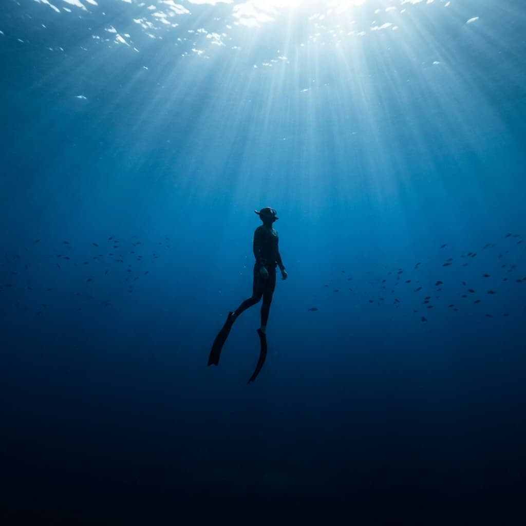 The Silent World: Introduction to Freediving and Apnea